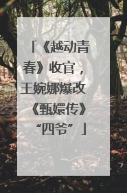 《越动青春》收官，王婉娜爆改《甄嬛传》“四爷”