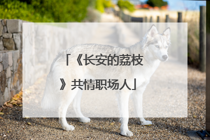 《长安的荔枝》共情职场人