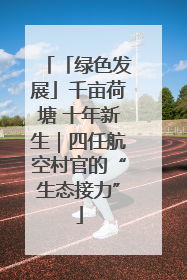 「绿色发展」千亩荷塘 十年新生｜四任航空村官的“生态接力”