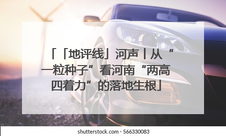 「地评线」河声丨从“一粒种子”看河南“两高四着力”的落地生根