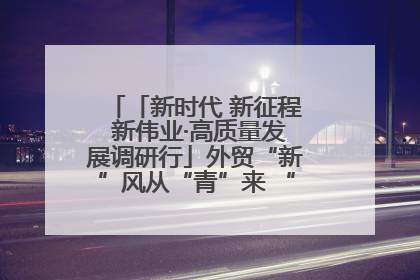 「新时代 新征程 新伟业·高质量发展调研行」外贸“新”风从“青”来 “双向奔赴”启新程