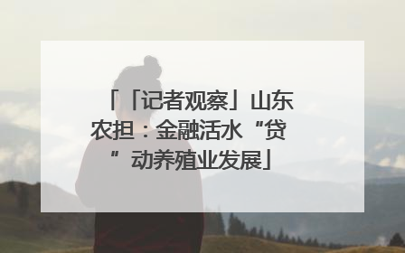 「记者观察」山东农担：金融活水“贷”动养殖业发展