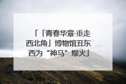 「青春华章·重走西北角」博物馆丑东西为“神马”爆火