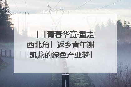 「青春华章·重走西北角」返乡青年谢凯龙的绿色产业梦