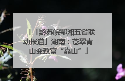 「黔苏皖鄂湘五省联动报道」湖南：苍翠青山变致富“靠山”