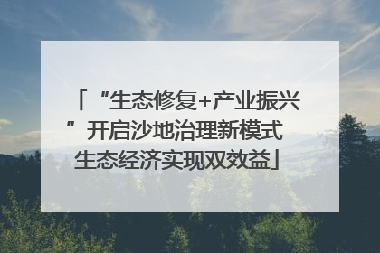 “生态修复+产业振兴”开启沙地治理新模式 生态经济实现双效益
