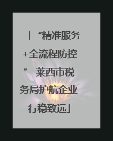 “精准服务+全流程防控” 莱西市税务局护航企业行稳致远
