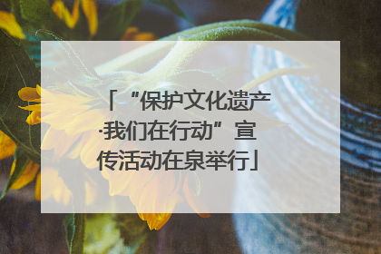“保护文化遗产·我们在行动”宣传活动在泉举行