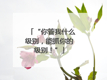 “你管我什么级别，能抓你的级别！”