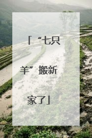 “七只羊”搬新家了
