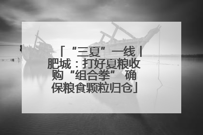 “三夏”一线丨肥城：打好夏粮收购“组合拳” 确保粮食颗粒归仓