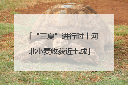 “三夏”进行时丨河北小麦收获近七成