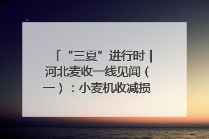“三夏”进行时｜河北麦收一线见闻（一）：小麦机收减损“竞技” 农机高手麦田“过招”