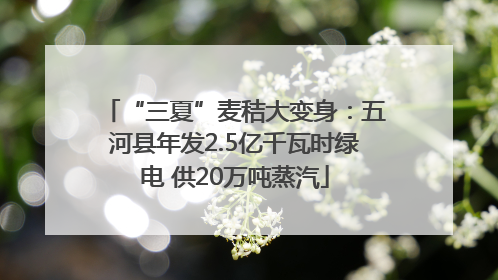 “三夏”麦秸大变身：五河县年发2.5亿千瓦时绿电 供20万吨蒸汽