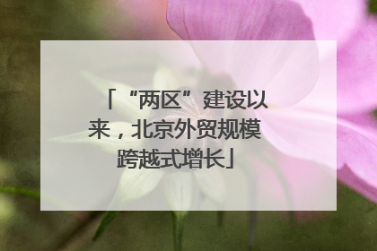 “两区”建设以来，北京外贸规模跨越式增长