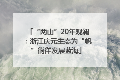 “两山”20年观澜：浙江庆元生态为“帆”徜徉发展蓝海