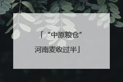 “中原粮仓”河南麦收过半