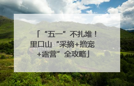 “五一”不扎堆！里口山“采摘+撸宠+露营”全攻略