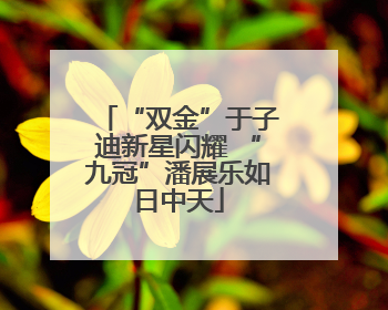 “双金”于子迪新星闪耀 “九冠”潘展乐如日中天
