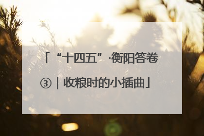 “十四五”·衡阳答卷③｜收粮时的小插曲