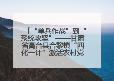 “单兵作战”到“系统攻坚”——甘肃省高台县合黎镇“四化一评”激活农村党员管理新引擎