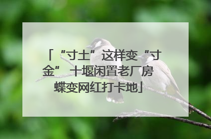 “寸土”这样变“寸金” 十堰闲置老厂房蝶变网红打卡地