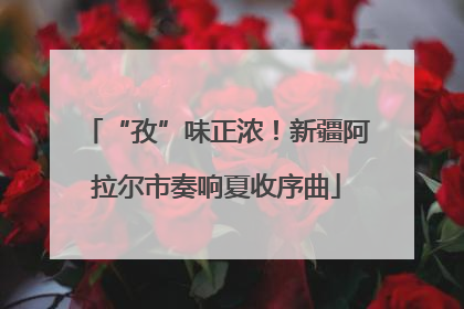 “孜”味正浓！新疆阿拉尔市奏响夏收序曲