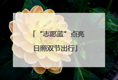 “志愿蓝”点亮日照双节出行