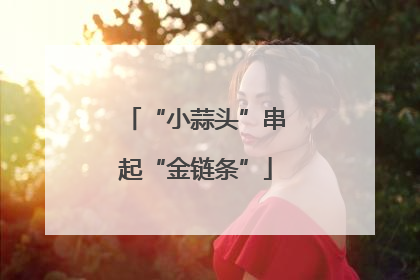 “小蒜头”串起“金链条”