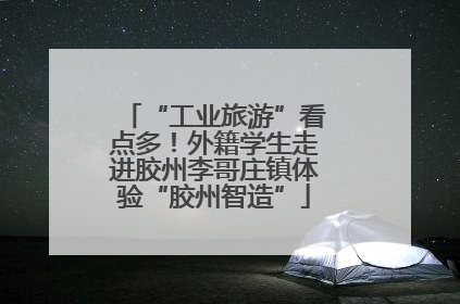 “工业旅游”看点多！外籍学生走进胶州李哥庄镇体验“胶州智造”