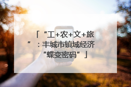 “工+农+文+旅”：丰城市镇域经济“蝶变密码”
