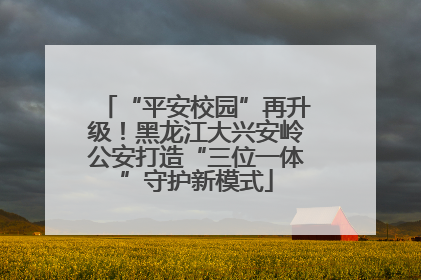 “平安校园”再升级！黑龙江大兴安岭公安打造“三位一体”守护新模式
