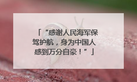 “感谢人民海军保驾护航，身为中国人感到万分自豪！”
