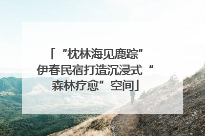 “枕林海见鹿踪” 伊春民宿打造沉浸式“森林疗愈”空间