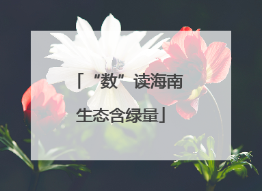 “数”读海南生态含绿量