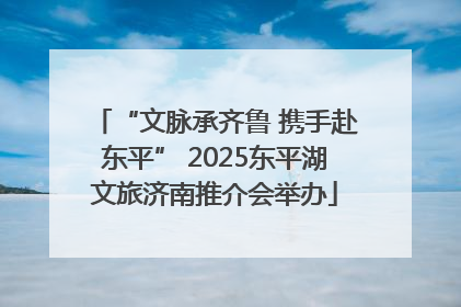 “文脉承齐鲁 携手赴东平” 2025东平湖文旅济南推介会举办