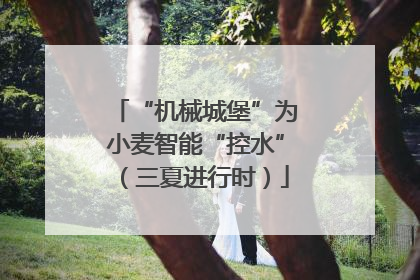 “机械城堡”为小麦智能“控水”（三夏进行时）