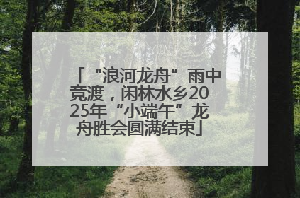 “浪河龙舟”雨中竞渡，闲林水乡2025年“小端午”龙舟胜会圆满结束
