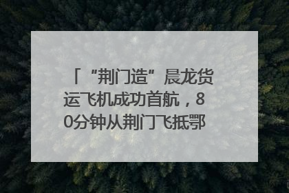 “荆门造”晨龙货运飞机成功首航，80分钟从荆门飞抵鄂州花湖机场