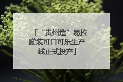 “贵州造”易拉罐装可口可乐生产线正式投产