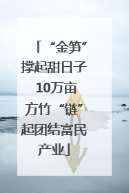 “金笋”撑起甜日子 10万亩方竹“链”起团结富民产业