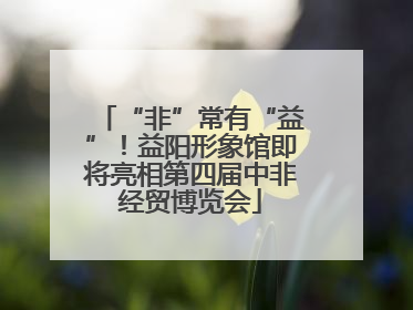 “非”常有“益”！益阳形象馆即将亮相第四届中非经贸博览会