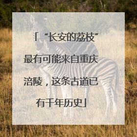 “长安的荔枝”最有可能来自重庆涪陵，这条古道已有千年历史