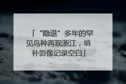 “隐退”多年的罕见鸟种再现浙江，填补影像记录空白