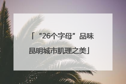 “26个字母”品味昆明城市肌理之美