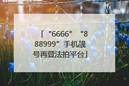 “6666”“888999”手机靓号再登法拍平台