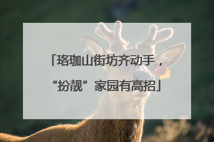 珞珈山街坊齐动手，“扮靓”家园有高招