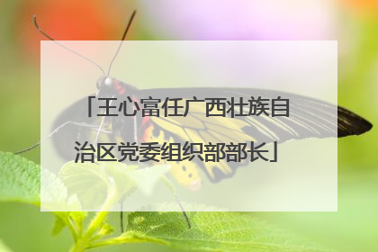 王心富任广西壮族自治区党委组织部部长