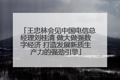王忠林会见中国电信总经理刘桂清 做大做强数字经济 打造发展新质生产力的强劲引擎