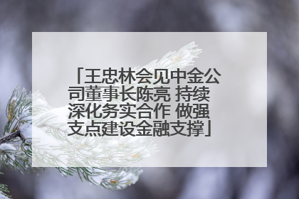 王忠林会见中金公司董事长陈亮 持续深化务实合作 做强支点建设金融支撑